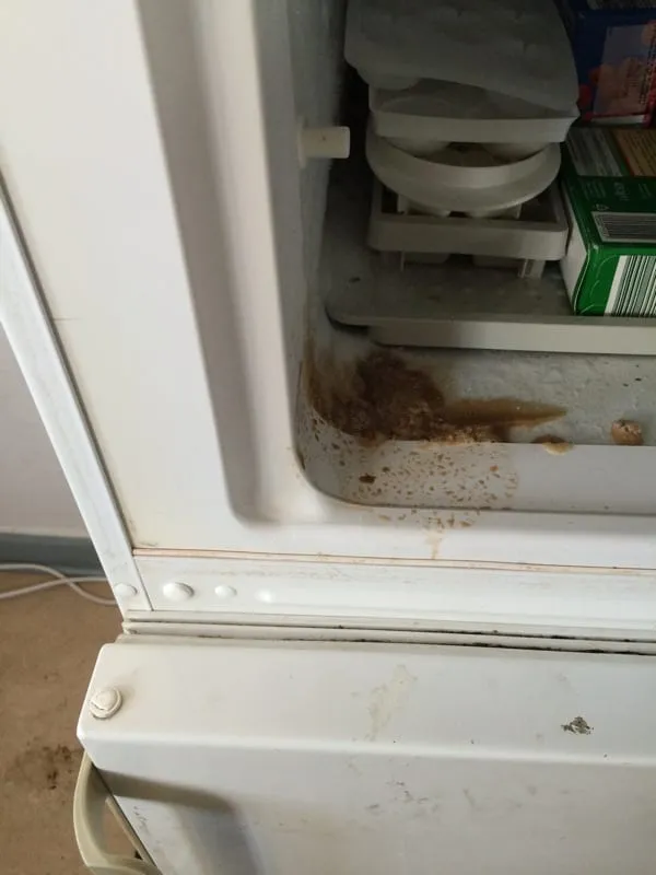 Kühlschranktüren kleben