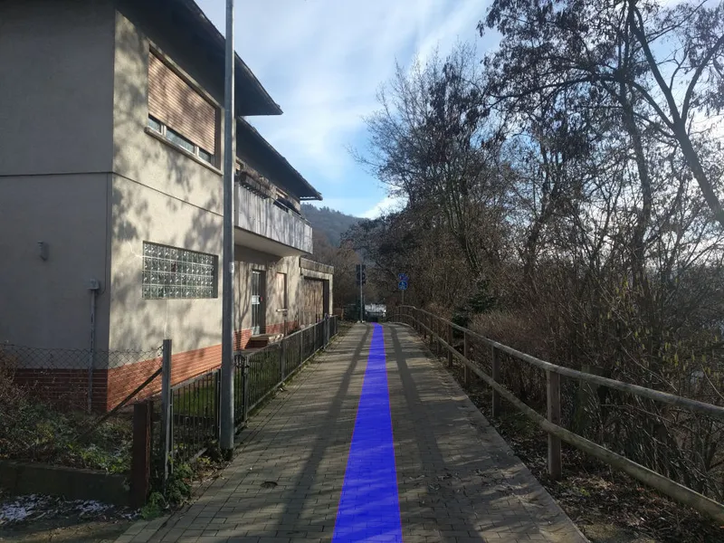 Gepflasterter Fußweg zwischen einem Wohnhaus und einem Holzzaun; ein blauer Streifen führt geradeaus.