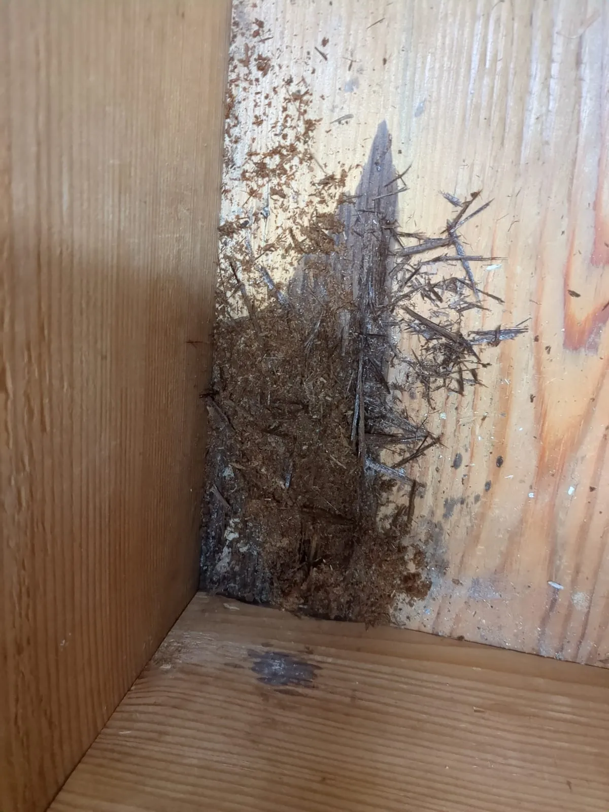 Holz weg